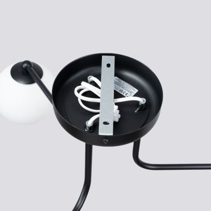 Lustra ar stieni ASTRAL 3xG9/8W/230V melna