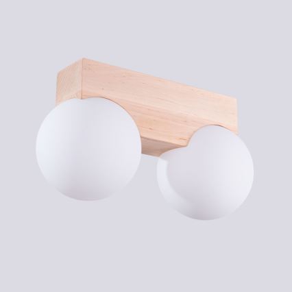 Griestu lampa BULBO 2xG9/8W/230V dižskābardis/balta
