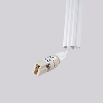 Piekaramā lampa uz kabeļa ARCHE, 2x G9, 8 W, 230 V, balta