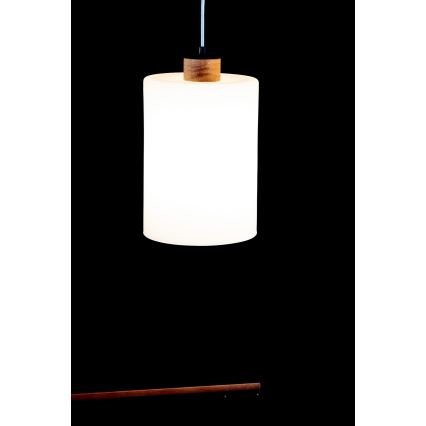 Lustra ar auklu ZEFIR 3xE27/60W/230V ozols