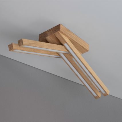 LED griestu lampa LINUS 4xLED/4,5W/230V matēts ozols