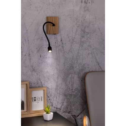 LED sienas gaismeklis LECTOR LED/2,5W/230V ozols