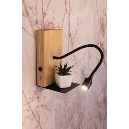 LED Sienas lampa LECTOR LED/2,5W/230V USB ozols