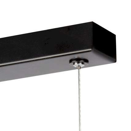 LED Aptumšojama lustra ar auklu LUCAS LED/25,5W/230V priede