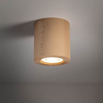 Starmetis EVE 1xGU10/10W/230V dižskābardis