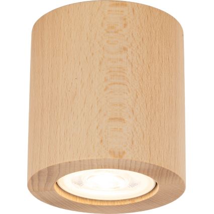 Starmetis EVE 1xGU10/10W/230V dižskābardis