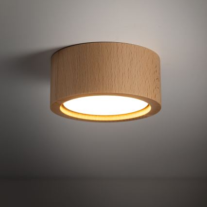 Starmetis EVE 1xGX53/11W/230V dižskābardis