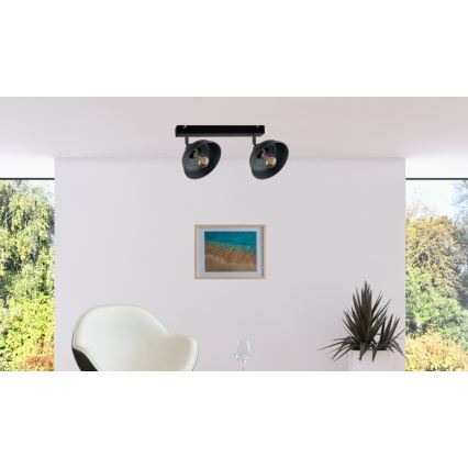 Starmetis FAUN 2xE27/60W/230V melna