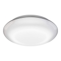Steinel 035440 - LED Āra gaismeklis ar sensoru QUATTRO LED/10W/230V IP54