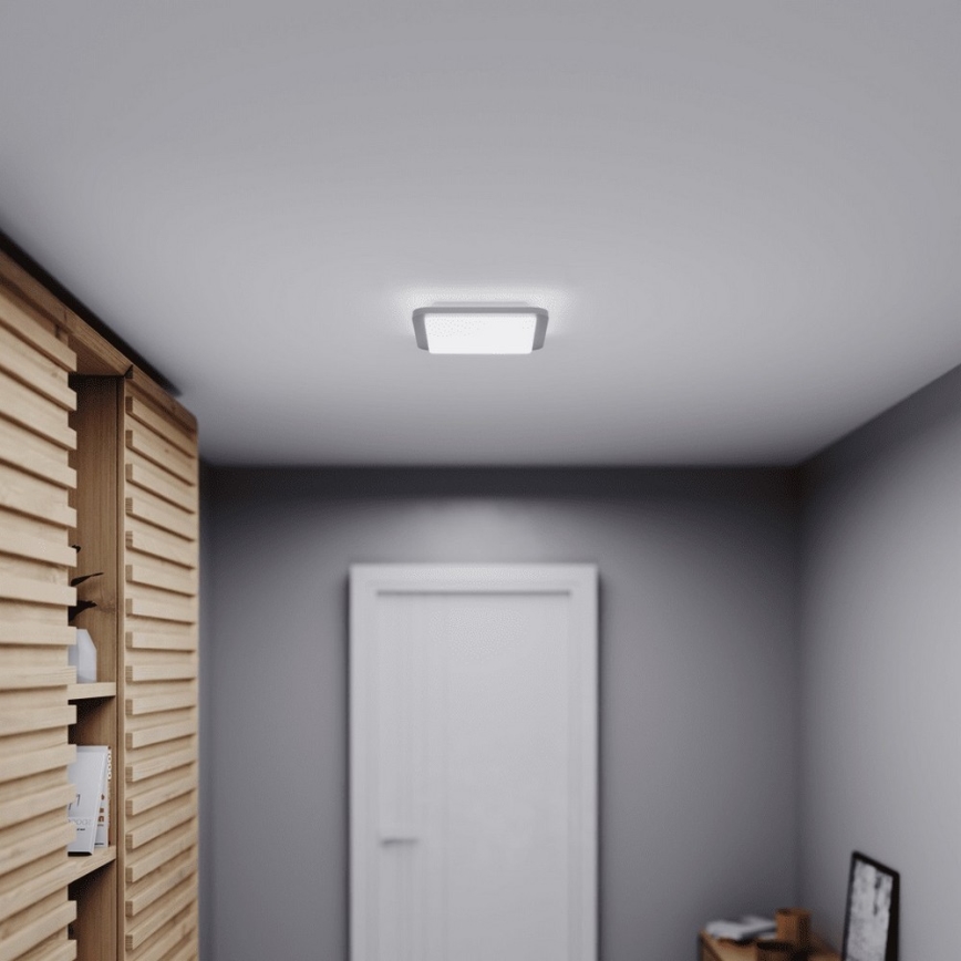 Steinel 052539 - LED Griestu gaismeklis ar sensoru LED/9,5W/230V