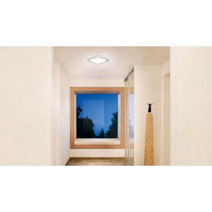 Steinel 052539 - LED Griestu gaismeklis ar sensoru LED/9,5W/230V