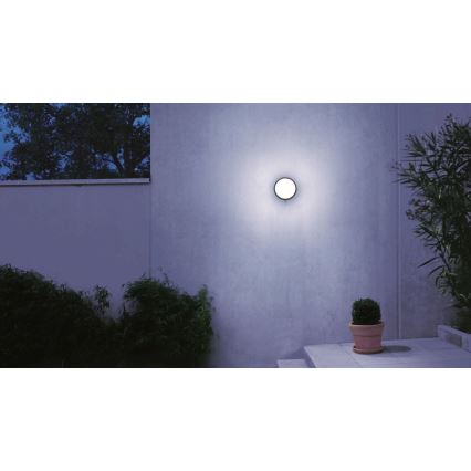 STEINEL 053079 - LED Āra sienas lampa ar sensoru L330 LED/9W/230V 3000K IP44