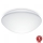Steinel 056131 - LED Vannas istabas griestu lampa RS PRO LED P3 LED/19,5W/230V IP54 3000K