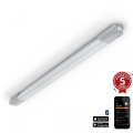 Steinel 058722 - LED Lielas slodzes lampa RS PRO 5150 C LED/42W/230V IP65