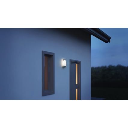 Steinel 069254 - Āra sienas lampa L 22 1xE27/60W/230V IP44 antracīta