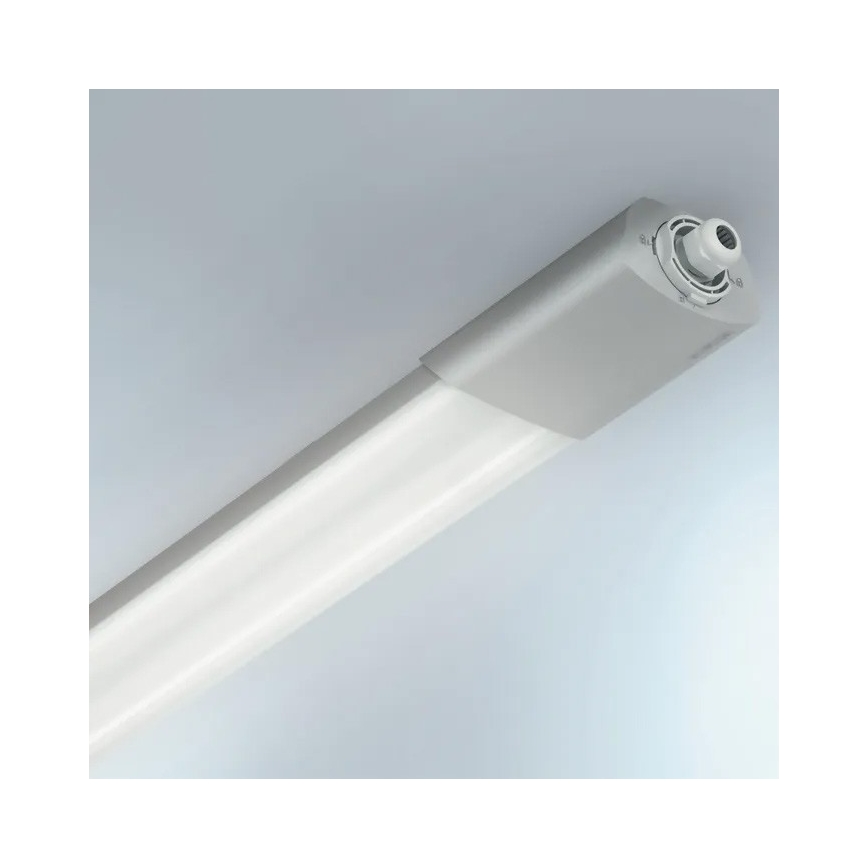 Steinel 079185 - LED Lielas slodzes lampa ar sensoru RS PRO 5100 SC LED/31W/230V IP66