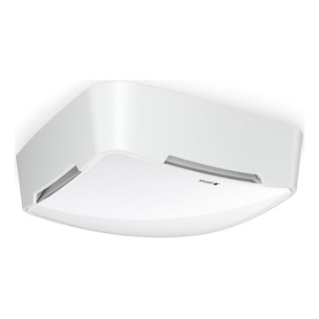 Steinel 081850 - Multisensors True Presence V2 IP AP WS balta