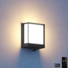 Steinel 085247 - LED Aptumšojama Āra sienas lampa ar sensoru L40SC LED/12,9W/230V