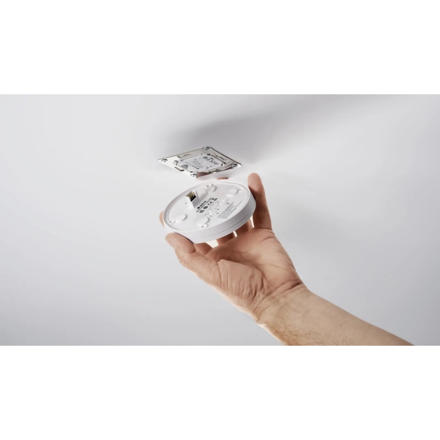 Steinel 088040 - Kustību sensors ar klātbūtnes sensoru PD-24 ECO KNX 360° melna