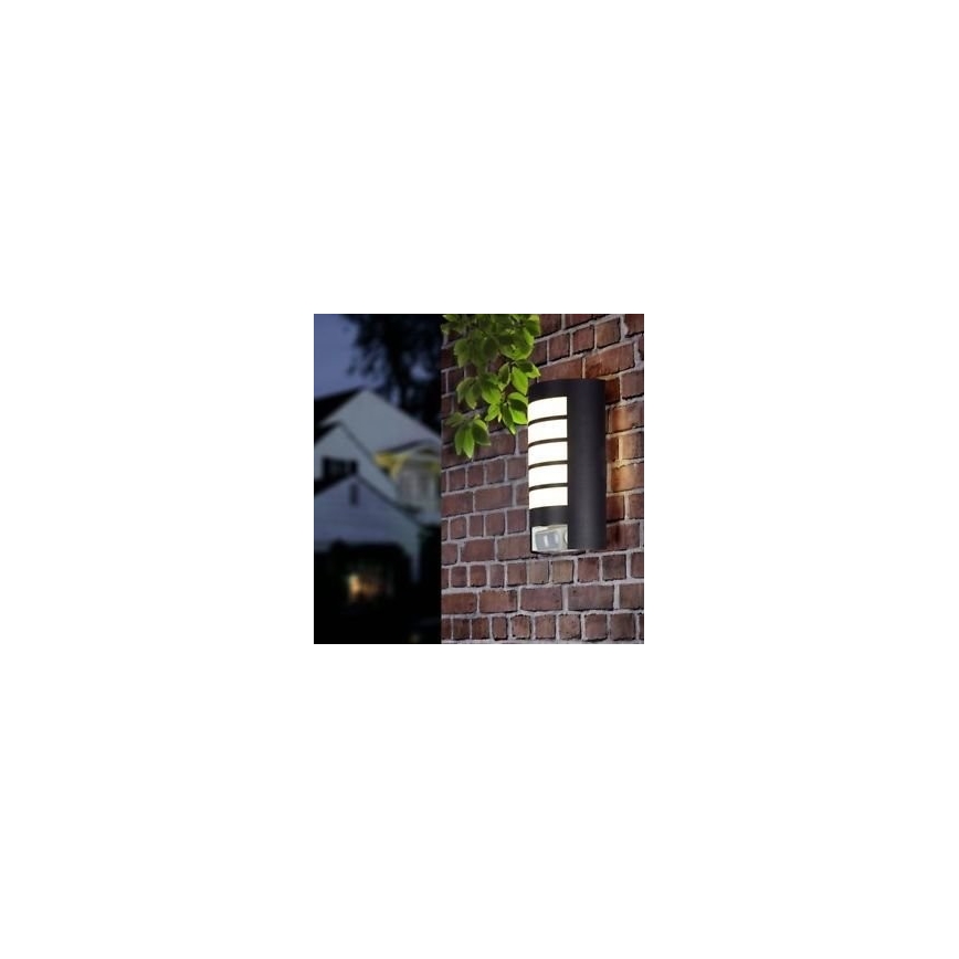 STEINEL 657819 - Āra Apgaismojums ar sensoru L12 1xE27/60W/230V
