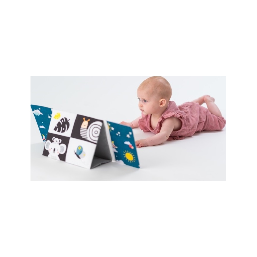 Taf Toys - Bērnu auduma grāmata ar spoguli, melna