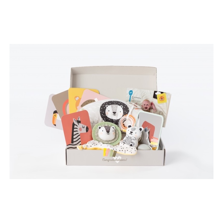 Taf Toys - Dāvanu kaste HELLO BABY