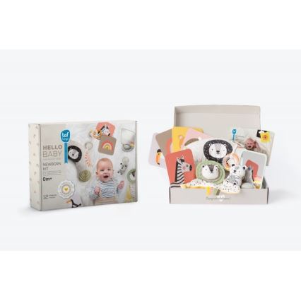Taf Toys - Dāvanu kaste HELLO BABY
