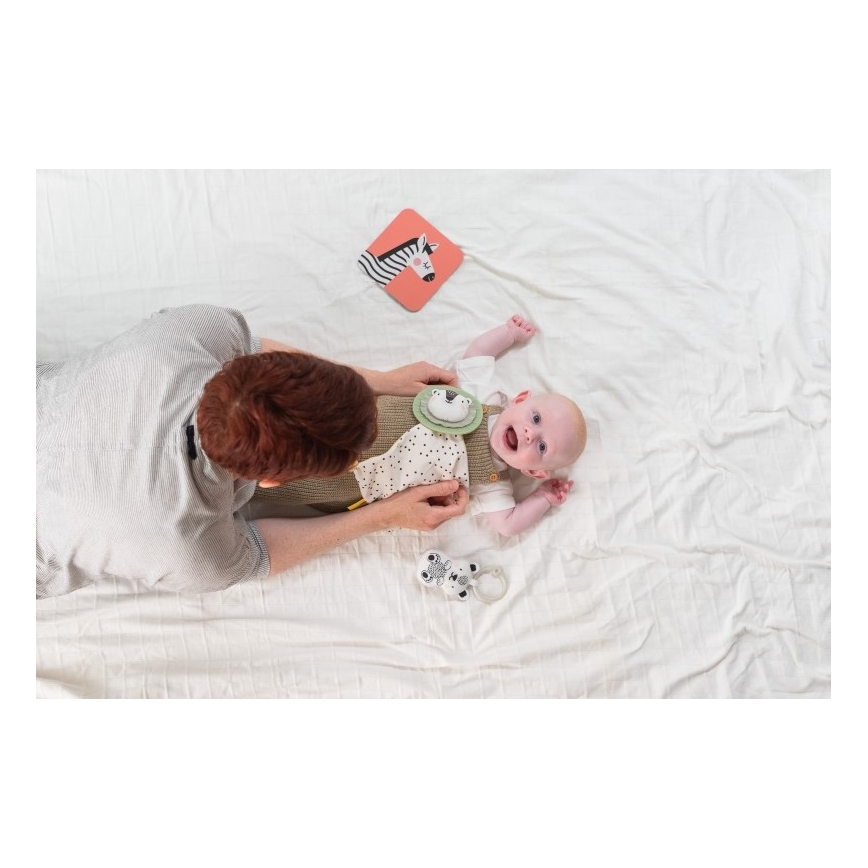 Taf Toys - Dāvanu kaste HELLO BABY