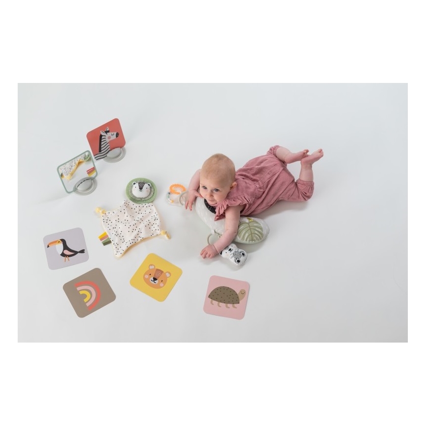 Taf Toys - Dāvanu kaste HELLO BABY
