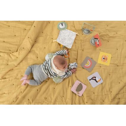 Taf Toys - Dāvanu kaste HELLO BABY