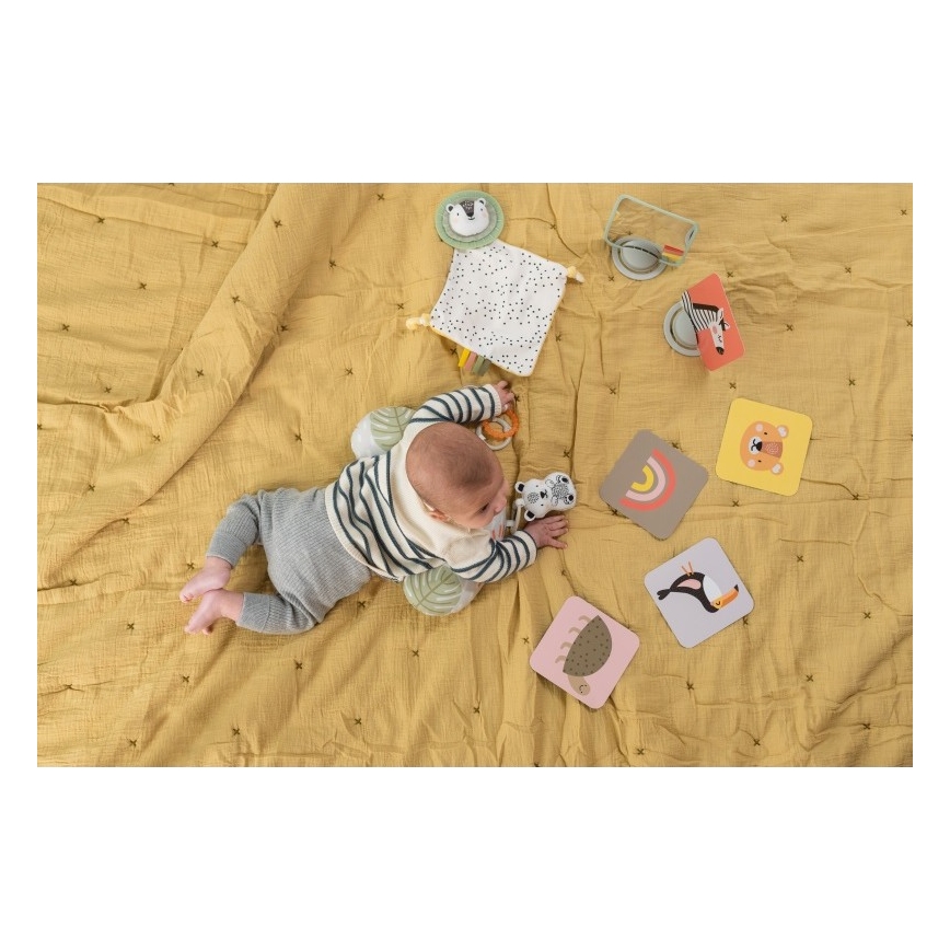 Taf Toys - Dāvanu kaste HELLO BABY