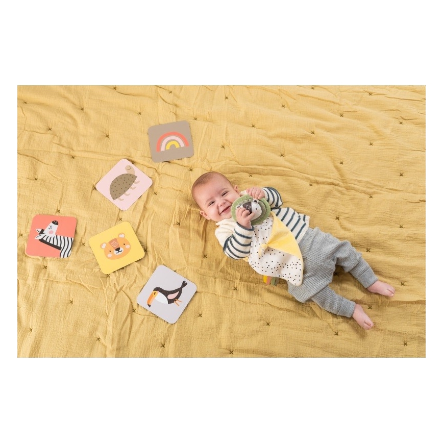 Taf Toys - Dāvanu kaste HELLO BABY