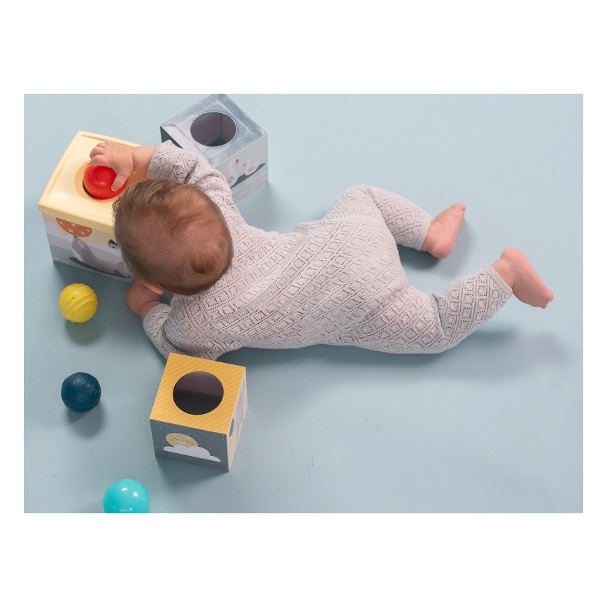 Taf Toys - Interaktīvs rotaļu komplekts Ziemeļpols