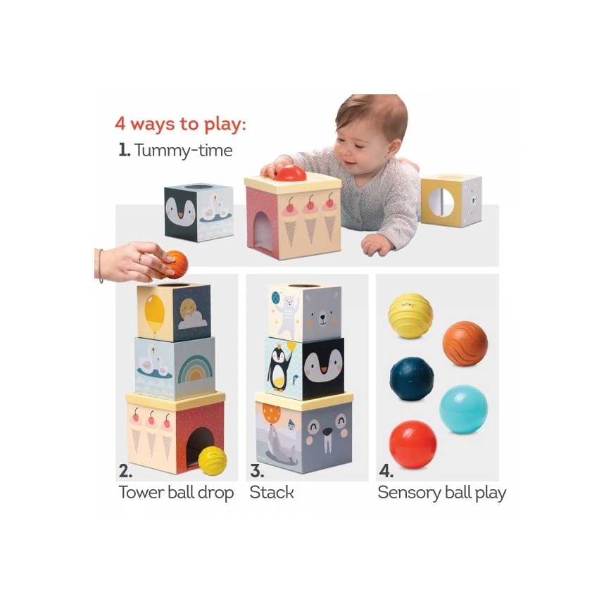 Taf Toys - Interaktīvs rotaļu komplekts Ziemeļpols
