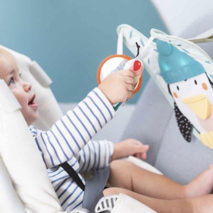 Taf Toys - Play & Kick automašīnas rotaļlieta pingvīns 3xAA
