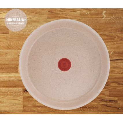 Tefal - 3 pannu komplekts INGENIO DELIGHT