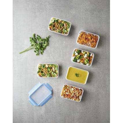 Tefal - 6 gab. pārtikas uzglabāšanas trauku komplekts 0,8 l MASTER SEAL FRESH, zils