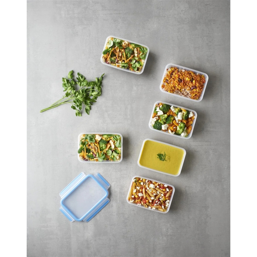 Tefal - 6 gab. pārtikas uzglabāšanas trauku komplekts 0,8 l MASTER SEAL FRESH, zils