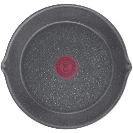 Tefal - Dziļa panna INGENIO NATURAL FORCE 22 cm