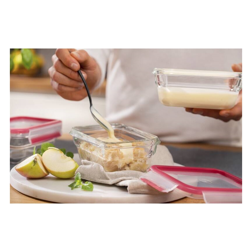Tefal - Ēdiena trauks 0,45 l MSEAL GLASS sarkana/stikls