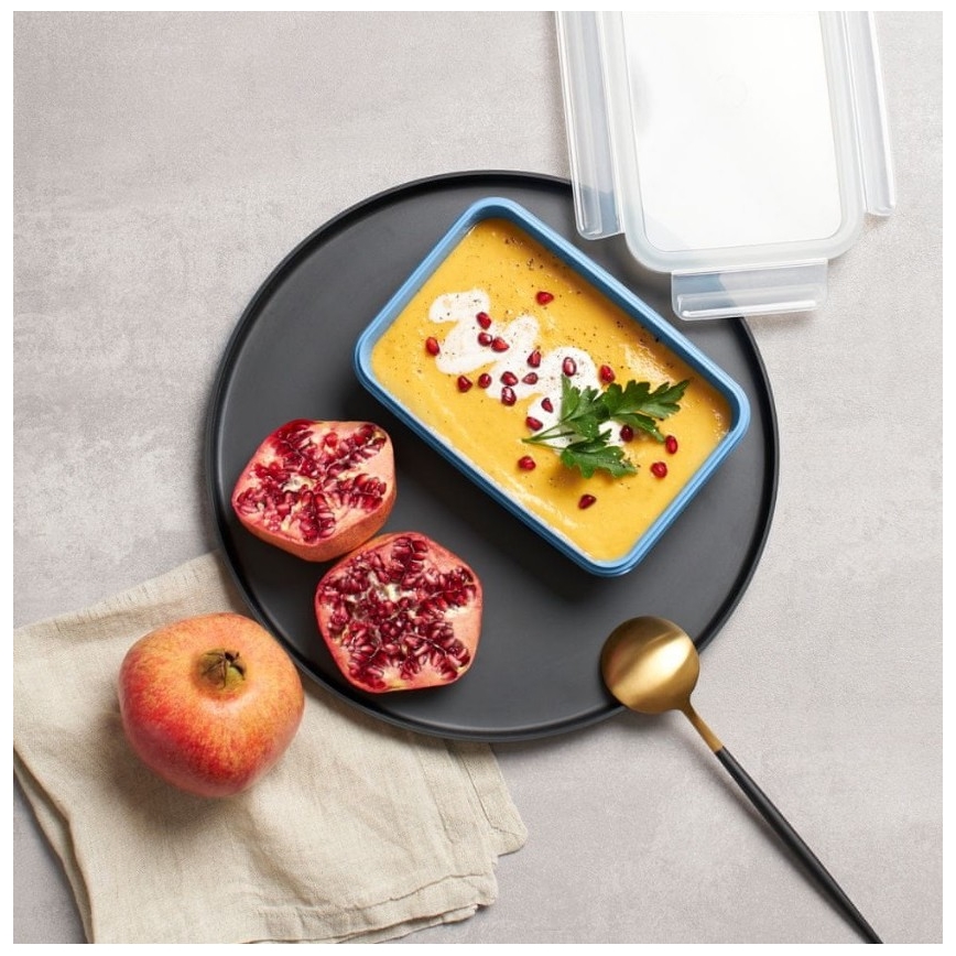 Tefal - Ēdiena trauks 0,8 l MSEAL COLOR zila