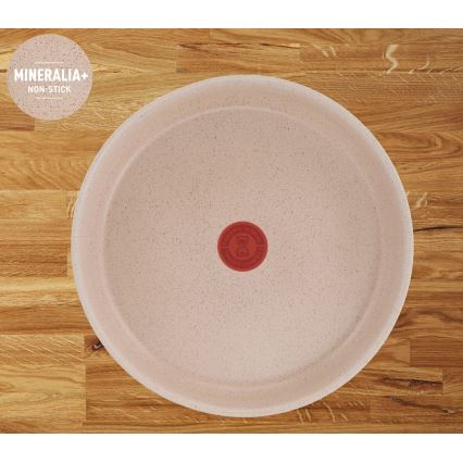 Tefal - INGENIO DELIGHT 17 daļu trauku komplekts