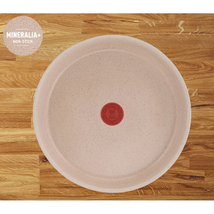 Tefal - INGENIO DELIGHT 17 daļu trauku komplekts