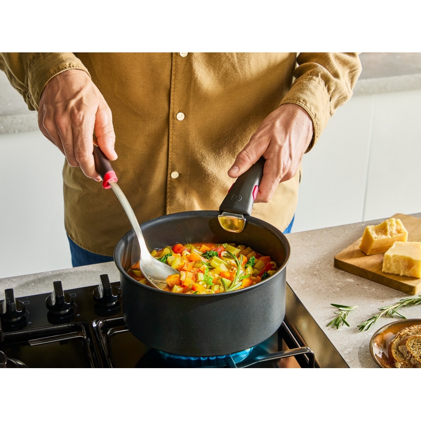 Tefal - Katliņš INGENIO Excellence Fusion 20 cm