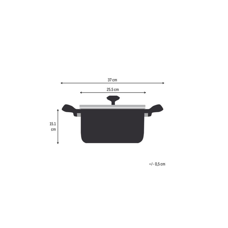 Tefal - katls ar vāku EXTREME 24 cm