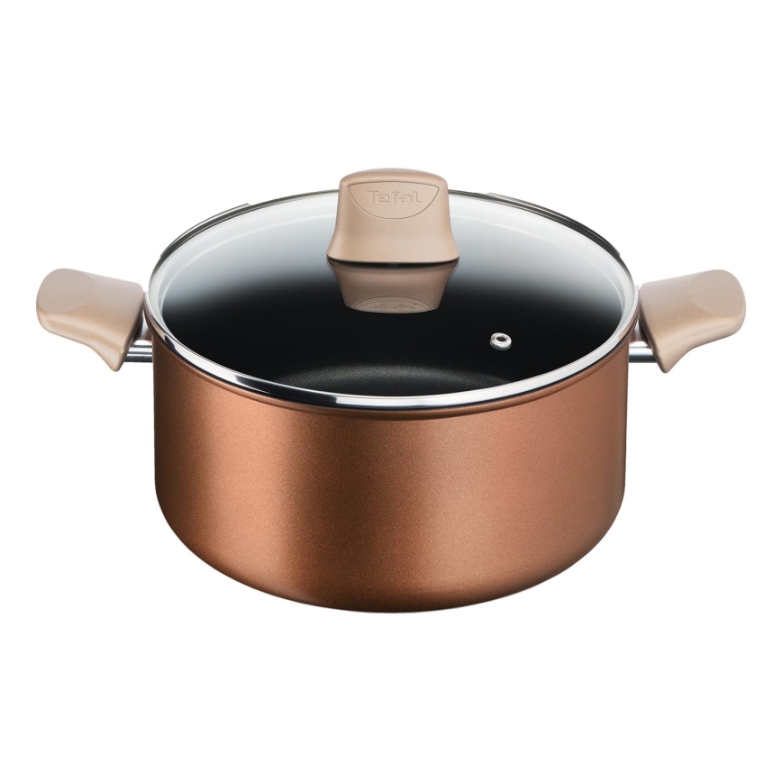 Tefal - Katls ar vāku RESPECT Ø 24 cm