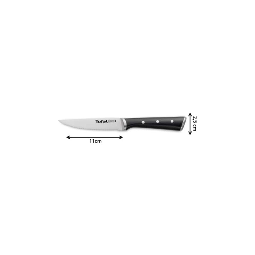 Tefal - KOMPLEKTS 4x Nerūsējoša tērauda steika nazis ICE FORCE 11 cm spīdīgi hromēts/melna