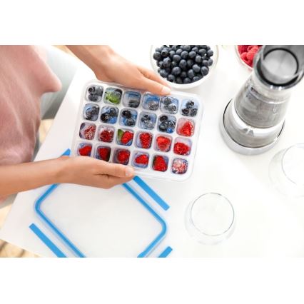 Tefal - ledus veidne 24 kubiņiem MASTER SEAL zila