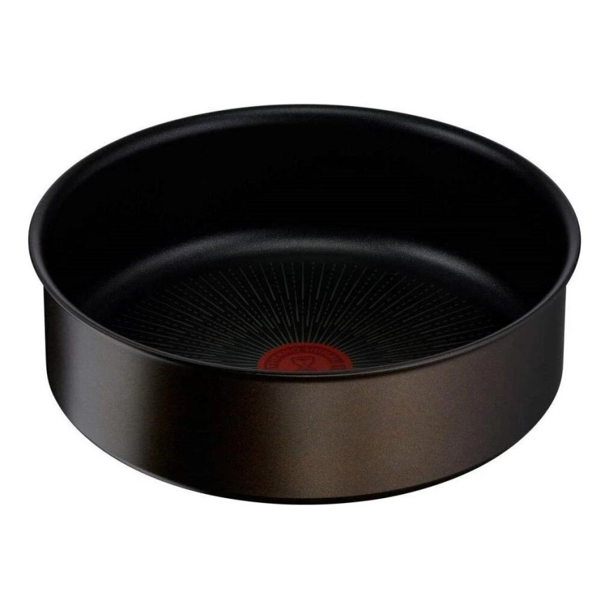 Tefal - Mazais katls INGENIO Unlimited 20 cm