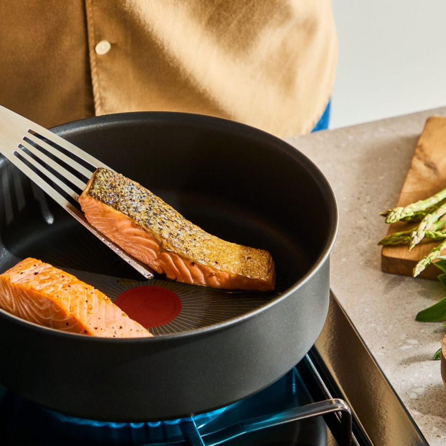 Tefal - panna INGENIO Excellence Fusion 24 cm